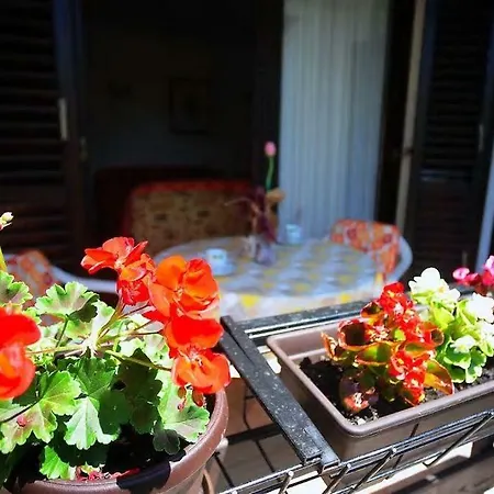 Apartment Leni Pula Zewnętrze zdjęcie